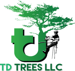 TD Trees LLC
